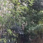 ホテル Acapulco Iii Fréjus